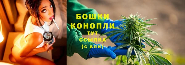 стаф Абаза