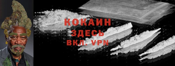прущие грибы Абдулино