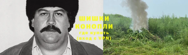 стаф Абаза