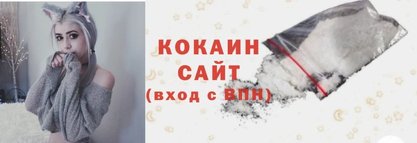 прущие грибы Абдулино