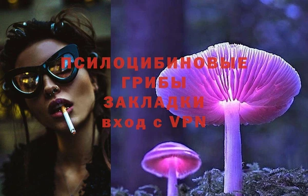 2c-b Абинск