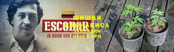 прущие грибы Абдулино