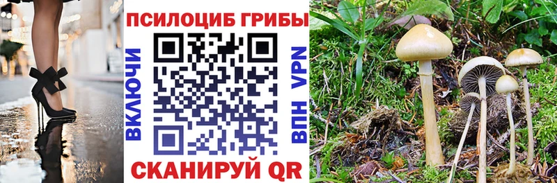 Псилоцибиновые грибы мицелий Шарыпово